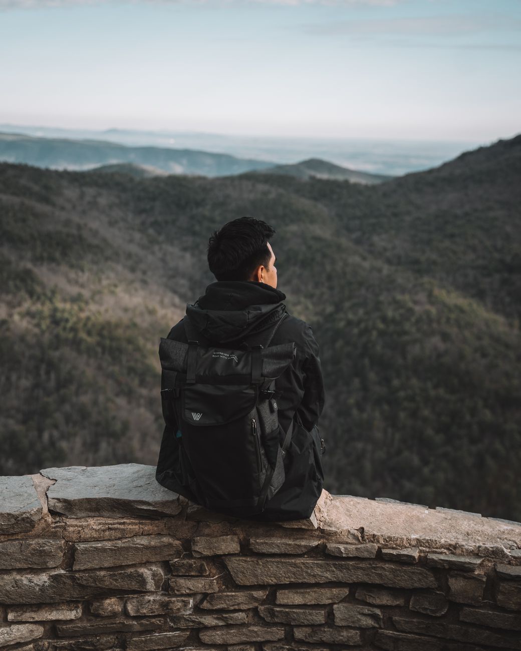 Editorial team member in nature
